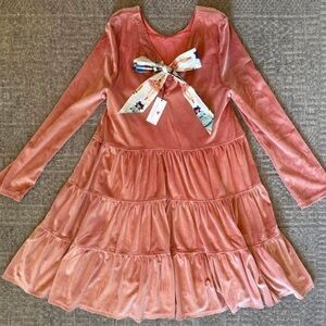 NWT Pink Chicken nutcracker dress in pink velvet size 12